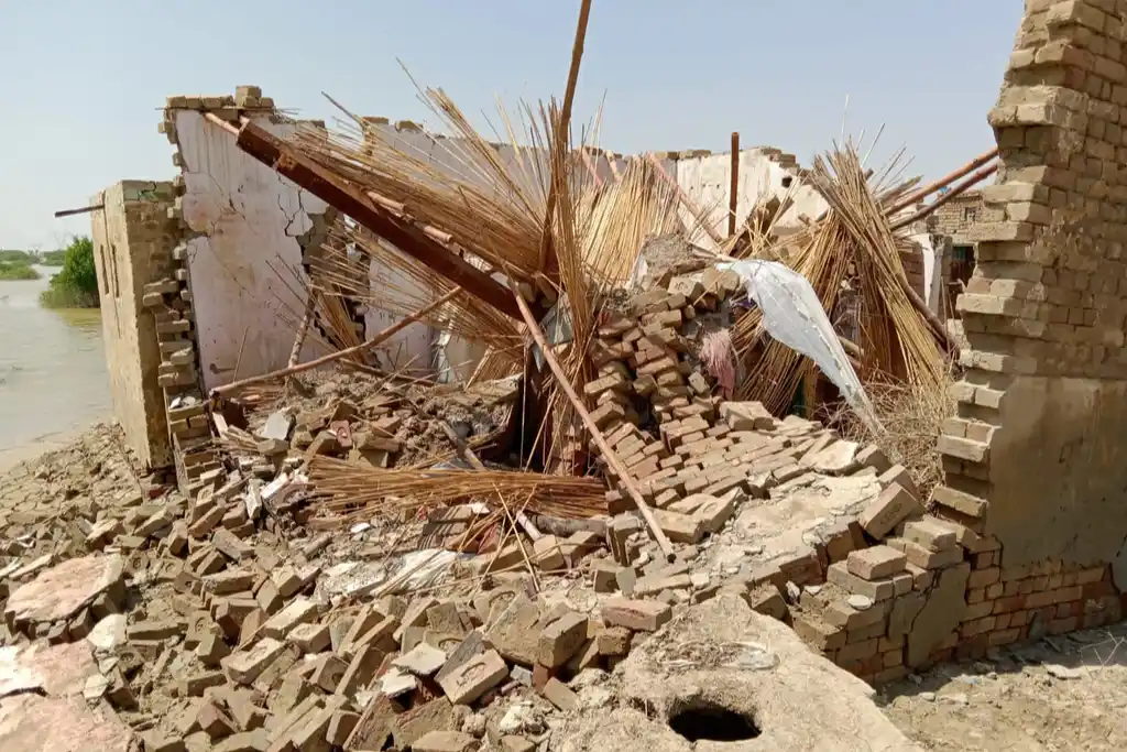 Taking Action Against Climate Change for a Sustainable Future